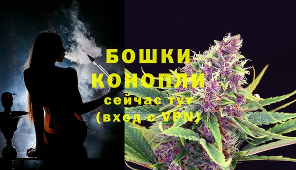 мдпв Елизово