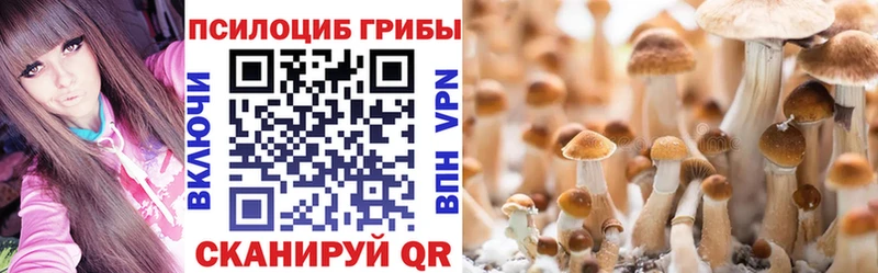 Псилоцибиновые грибы Cubensis  Северобайкальск 